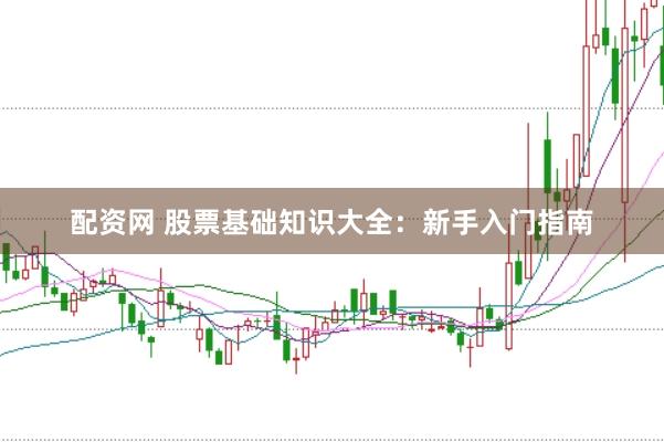 配资网 股票基础知识大全：新手入门指南