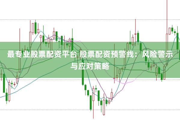 最专业股票配资平台 股票配资预警线：风险警示与应对策略