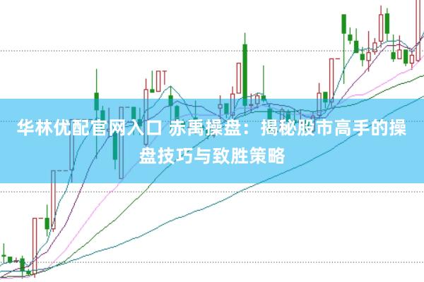 华林优配官网入口 赤禹操盘：揭秘股市高手的操盘技巧与致胜策略