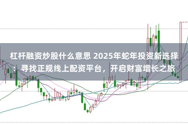 杠杆融资炒股什么意思 2025年蛇年投资新选择：寻找正规线上配资平台，开启财富增长之旅