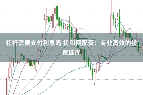 杠杆需要支付利息吗 搓和网配资：专业高效的投资选择