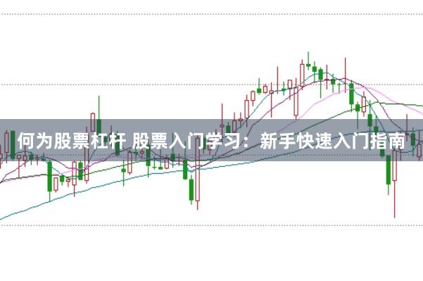 何为股票杠杆 股票入门学习：新手快速入门指南