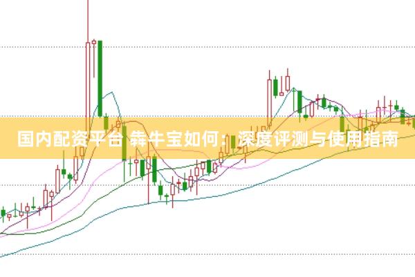 国内配资平台 犇牛宝如何：深度评测与使用指南