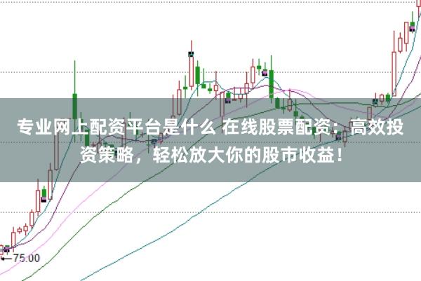 专业网上配资平台是什么 在线股票配资：高效投资策略，轻松放大你的股市收益！
