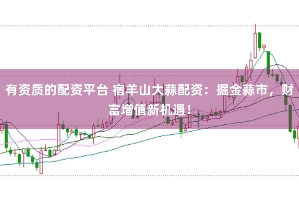 有资质的配资平台 宿羊山大蒜配资：掘金蒜市，财富增值新机遇！