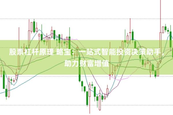 股票杠杆原理 略宝:一站式智能投资决策助手,助力财富增值