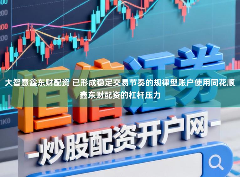 大智慧鑫东财配资 已形成稳定交易节奏的规律型账户使用同花顺鑫东财配资的杠杆压力