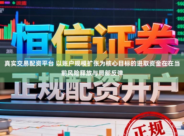 真实交易配资平台 以账户规模扩张为核心目标的进取资金在在当前风险释放与局部反弹