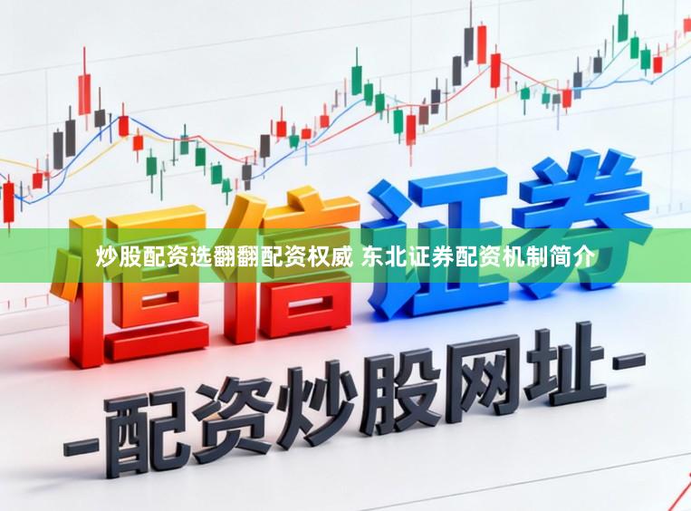 炒股配资选翻翻配资权威 东北证券配资机制简介