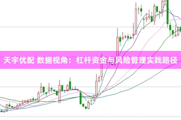 天宇优配 数据视角：杠杆资金与风险管理实践路径