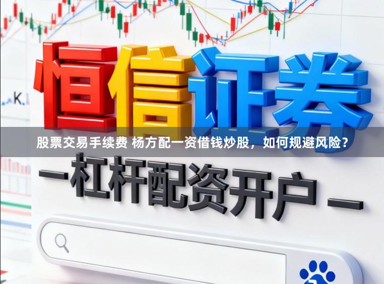 股票交易手续费 杨方配一资借钱炒股，如何规避风险？